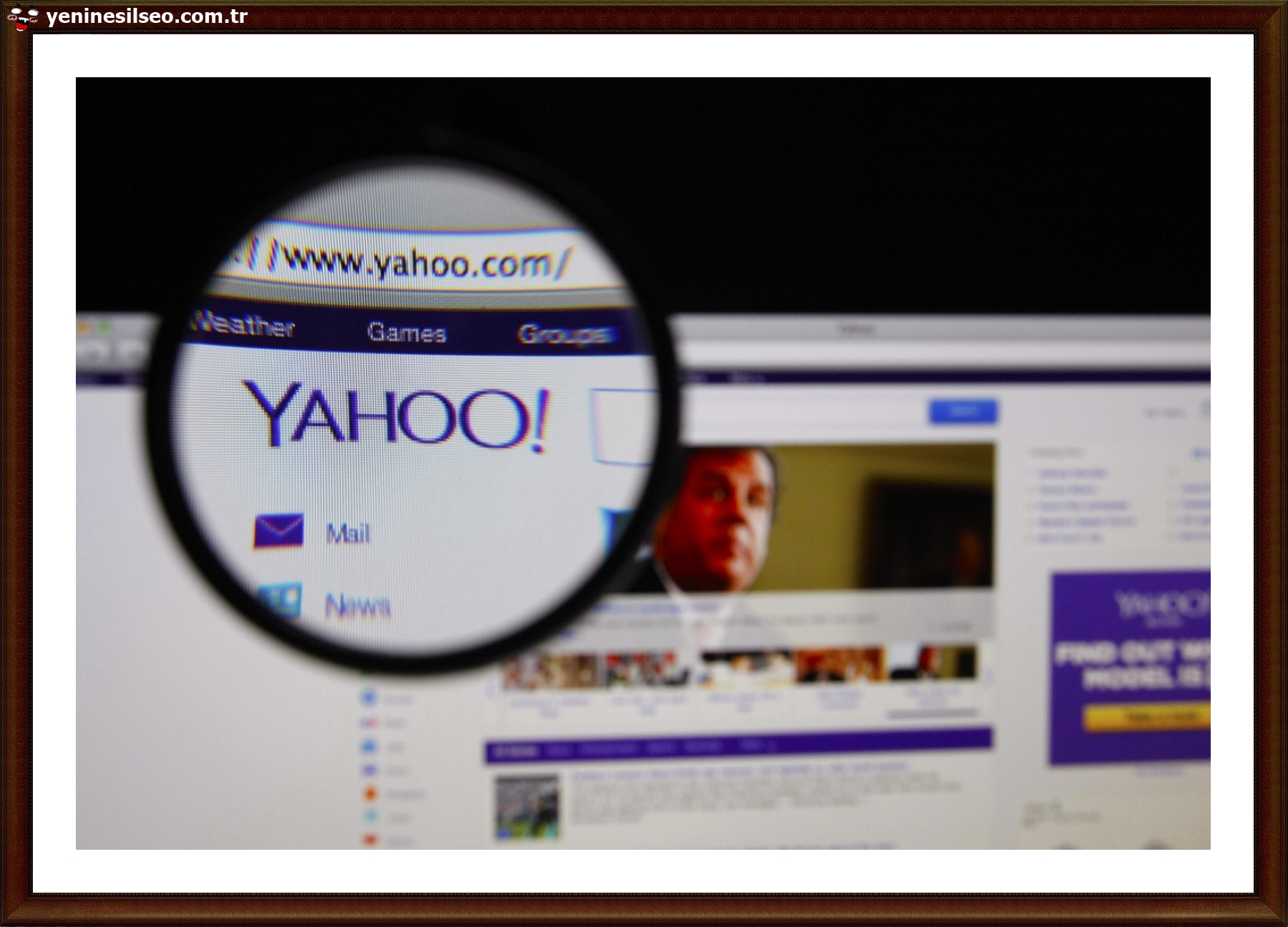 backlink analizi